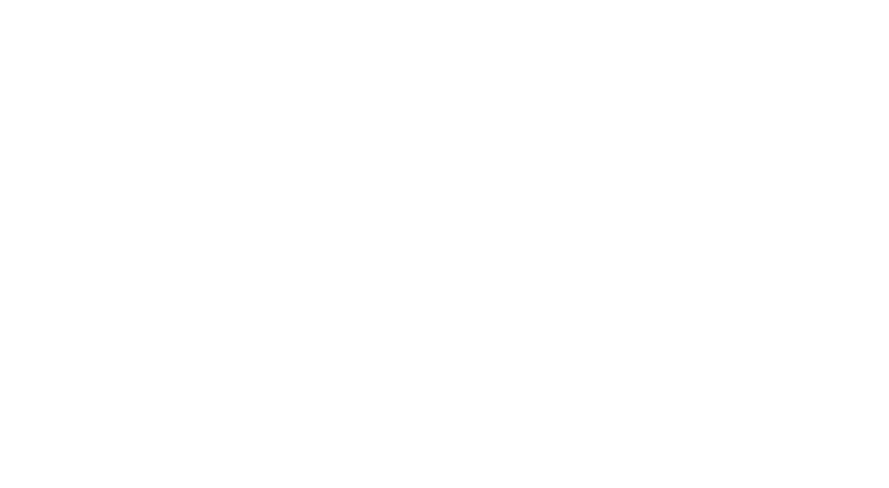 3- ief