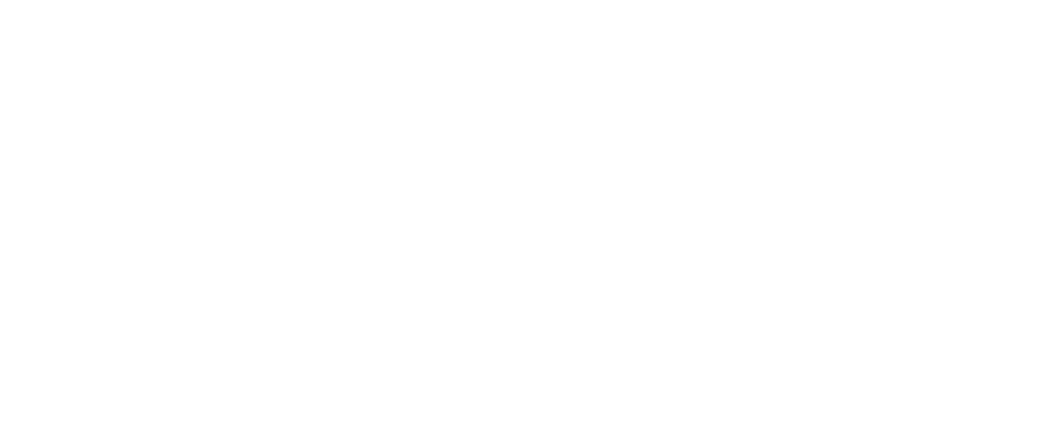 4 ARAOZ